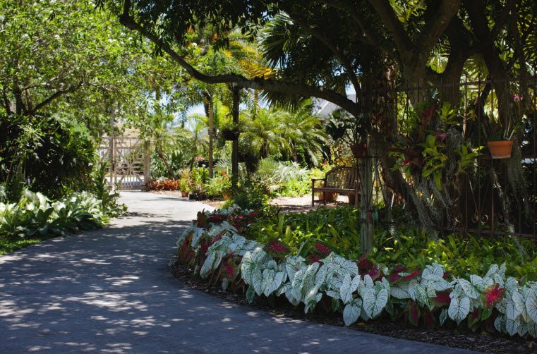 Heathcote Botanical Gardens, United States